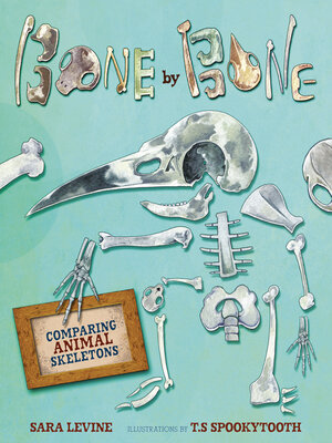 cover image of Bone by Bone